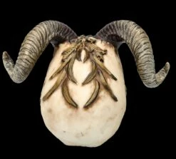 Totenkopf Figur Mit Hörnern - Diablo Skull -FIGUREN Verkäufe FS26190 Totenkopf Figur mit H rnern Diablo Skull 6 1280x1280