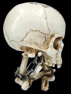 NEMESIS NOW Totenkopf Figur Auf Knochen - The Reckoning -FIGUREN Verkäufe FS26349 Totenkopf Figur auf Knochen The Reckoning 8 1280x1280