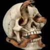 Totenkopf Figur - Kobra Schädel -FIGUREN Verkäufe FS26522 Totenkopf Figur Kobra Sch del 9 1280x1280