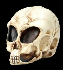Alien Totenkopf - Extraterrestrischer Besucher Klein -FIGUREN Verkäufe FS26641 Aliwn Totenkopf Estraterrestrischer Besucher klein 2 1280x1280