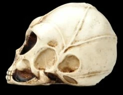 Alien Totenkopf - Extraterrestrischer Besucher Klein -FIGUREN Verkäufe FS26641 Aliwn Totenkopf Estraterrestrischer Besucher klein 4 1280x1280