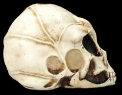 Alien Totenkopf - Extraterrestrischer Besucher Klein -FIGUREN Verkäufe FS26641 Aliwn Totenkopf Estraterrestrischer Besucher klein 8 1280x1280