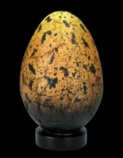 Drachen Ei Versteinert -FIGUREN Verkäufe FS27030 Drachen Ei versteinert 10 1280x1280