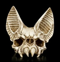 Fledermaus Totenkopf - Vespertilio 9 Fledermaus Totenkopf - Vespertilio -FIGUREN Verkäufe Fledermaus Totenkopf 1 1280x1280