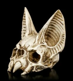 Fledermaus Totenkopf - Vespertilio 10 Fledermaus Totenkopf - Vespertilio -FIGUREN Verkäufe Fledermaus Totenkopf 2 1280x1280
