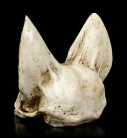 Fledermaus Totenkopf - Vespertilio 12 Fledermaus Totenkopf - Vespertilio -FIGUREN Verkäufe Fledermaus Totenkopf 3 1280x1280