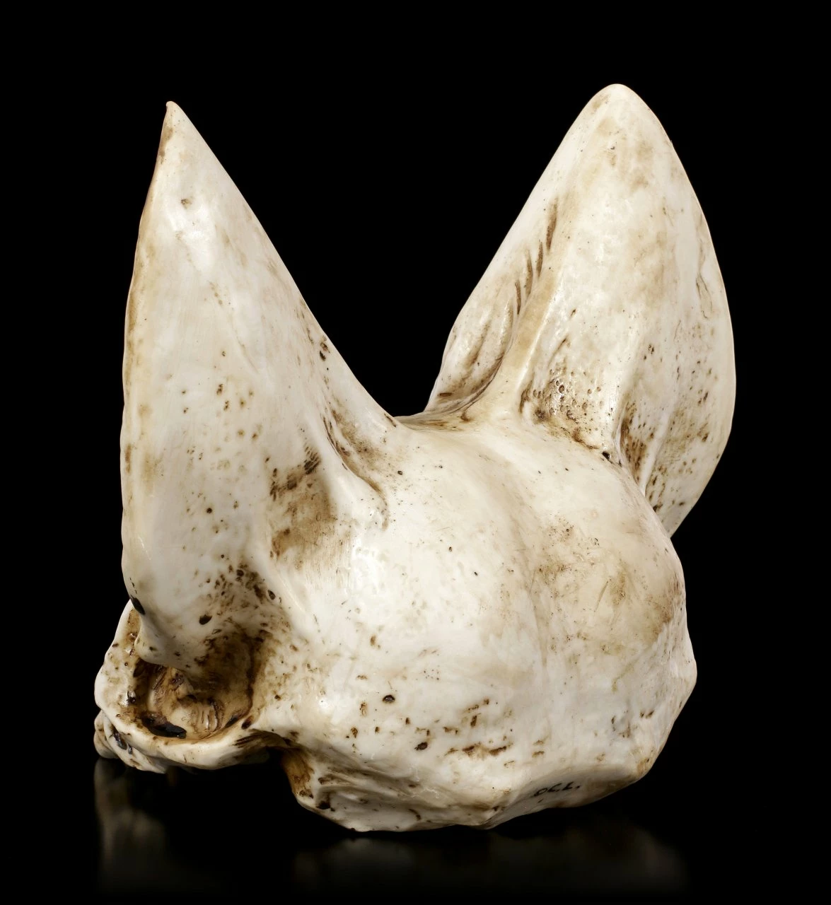 Fledermaus Totenkopf - Vespertilio 7 Fledermaus Totenkopf - Vespertilio – Bild 5