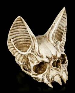 Fledermaus Totenkopf - Vespertilio 11 Fledermaus Totenkopf - Vespertilio -FIGUREN Verkäufe Fledermaus Totenkopf 5 1280x1280