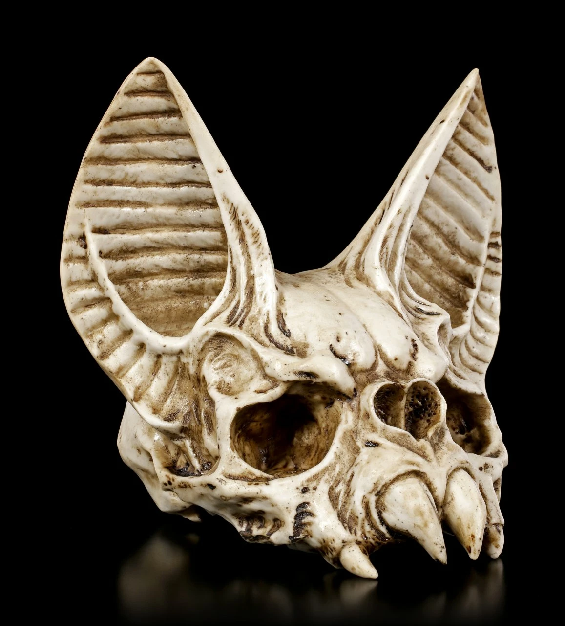 Fledermaus Totenkopf - Vespertilio 3 Fledermaus Totenkopf - Vespertilio