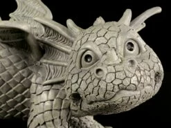 Drachen Gartenfigur - Mein Revier -FIGUREN Verkäufe Garten Drachen Pi 5 1280x1280