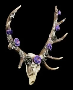 NEMESIS NOW Wandrelief Geweih - Antlers Of Eden -FIGUREN Verkäufe Geweih Wandrelief Antlers Of Eden 1 1280x1280