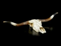 Großes Wandrelief - Büffel Schädel -FIGUREN Verkäufe Grosser Wandrelief Bueffel Schaedel 3 1280x1280