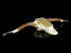 Großes Wandrelief - Büffel Schädel -FIGUREN Verkäufe Grosser Wandrelief Bueffel Schaedel 4 1280x1280