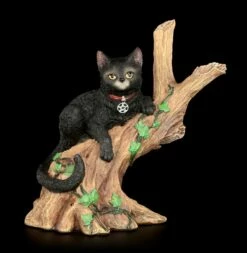 NEMESIS NOW Hexen Katze - Onyx Auf Baum -FIGUREN Verkäufe Hexen Katze Onyx 1 1280x1280