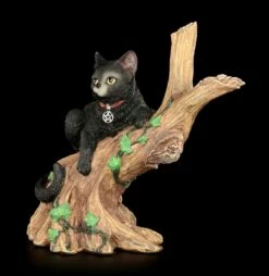 NEMESIS NOW Hexen Katze - Onyx Auf Baum -FIGUREN Verkäufe Hexen Katze Onyx 2 1280x1280