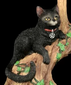 NEMESIS NOW Hexen Katze - Onyx Auf Baum -FIGUREN Verkäufe Hexen Katze Onyx 8 1280x1280