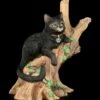 NEMESIS NOW Hexen Katze - Onyx Auf Baum -FIGUREN Verkäufe Hexen Katze Onyx 1280x1280