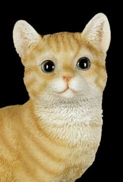 Kantenhocker - Sitzende Getigerte Katzen Figur -FIGUREN Verkäufe Kantenhocker Sitzende Gelbe Katzen Figur 6 1280x1280