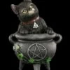 NEMESIS NOW Hexen Katzen Figur - Smudge 1 NEMESIS NOW Hexen Katzen Figur - Smudge -FIGUREN Verkäufe Katzen Figur Smudge 1280x1280