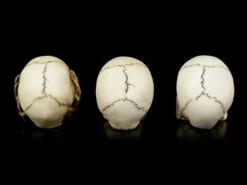 Kleines Totenkopf 3er Set - Nichts Böses -FIGUREN Verkäufe Kleines Totenkopf 3er Set Nichts Boeses 3 1280x1280