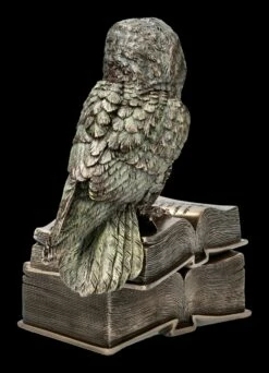 Schatulle - Eule Sitzt Auf Büchern -FIGUREN Verkäufe ML11660 Schatulle Eule sitzt auf Buechern 5 1280x1280