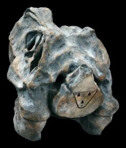 Totenkopf - Tyrannosaurus Rex - Groß 11 Totenkopf - Tyrannosaurus Rex - Groß -FIGUREN Verkäufe ML11827 Totenkopf Tyrannosaurus Rex gross 6 1280x1280