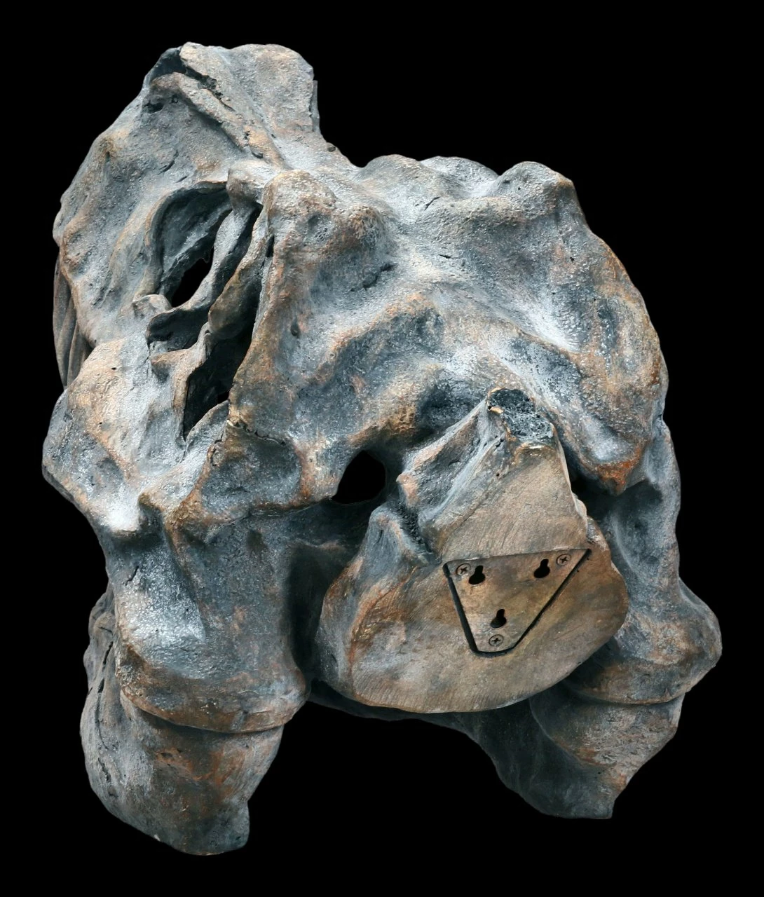 Totenkopf - Tyrannosaurus Rex - Groß 6 Totenkopf - Tyrannosaurus Rex - Groß – Bild 4