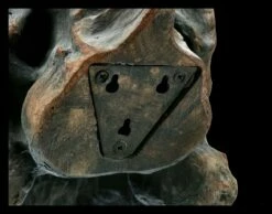 Totenkopf - Tyrannosaurus Rex - Mittel -FIGUREN Verkäufe ML11828 Totenkopf Tyrannosaurus Rex mittel 9 1280x1280