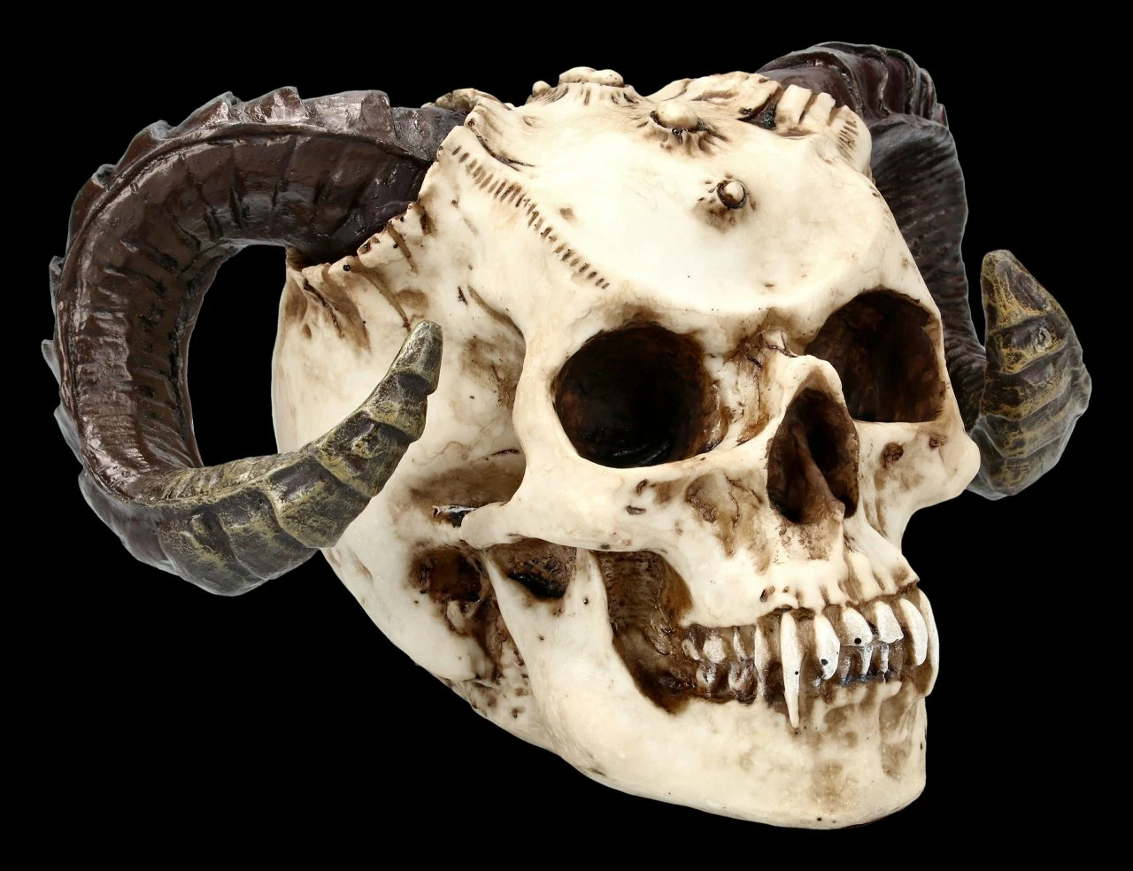 Teufelskopf Mit Widderhörnern 3 Teufelskopf Mit Widderhörnern