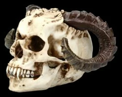 Teufelskopf Mit Widderhörnern 9 Teufelskopf Mit Widderhörnern -FIGUREN Verkäufe ML1799 Teufelskopf mit Widderhoernern 3 1280x1280