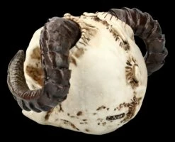 Teufelskopf Mit Widderhörnern 10 Teufelskopf Mit Widderhörnern -FIGUREN Verkäufe ML1799 Teufelskopf mit Widderhoernern 5 1280x1280