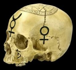 Totenkopf Witchcraft Skull -FIGUREN Verkäufe ML4475 Totenkopf Witchcraft Skull 3 1280x1280