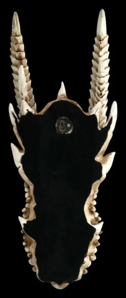 Wandrelief - Drachen Totenkopf Kryss -FIGUREN Verkäufe ML6578 Drachen Totenkopf Wanddeko 6 1280x1280