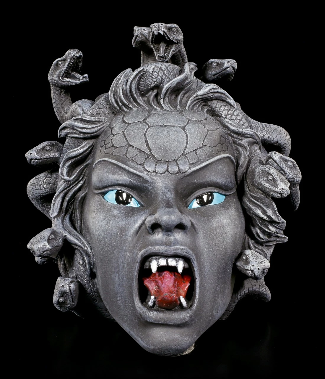 Medusa Schädel 4 Medusa Schädel – Bild 2