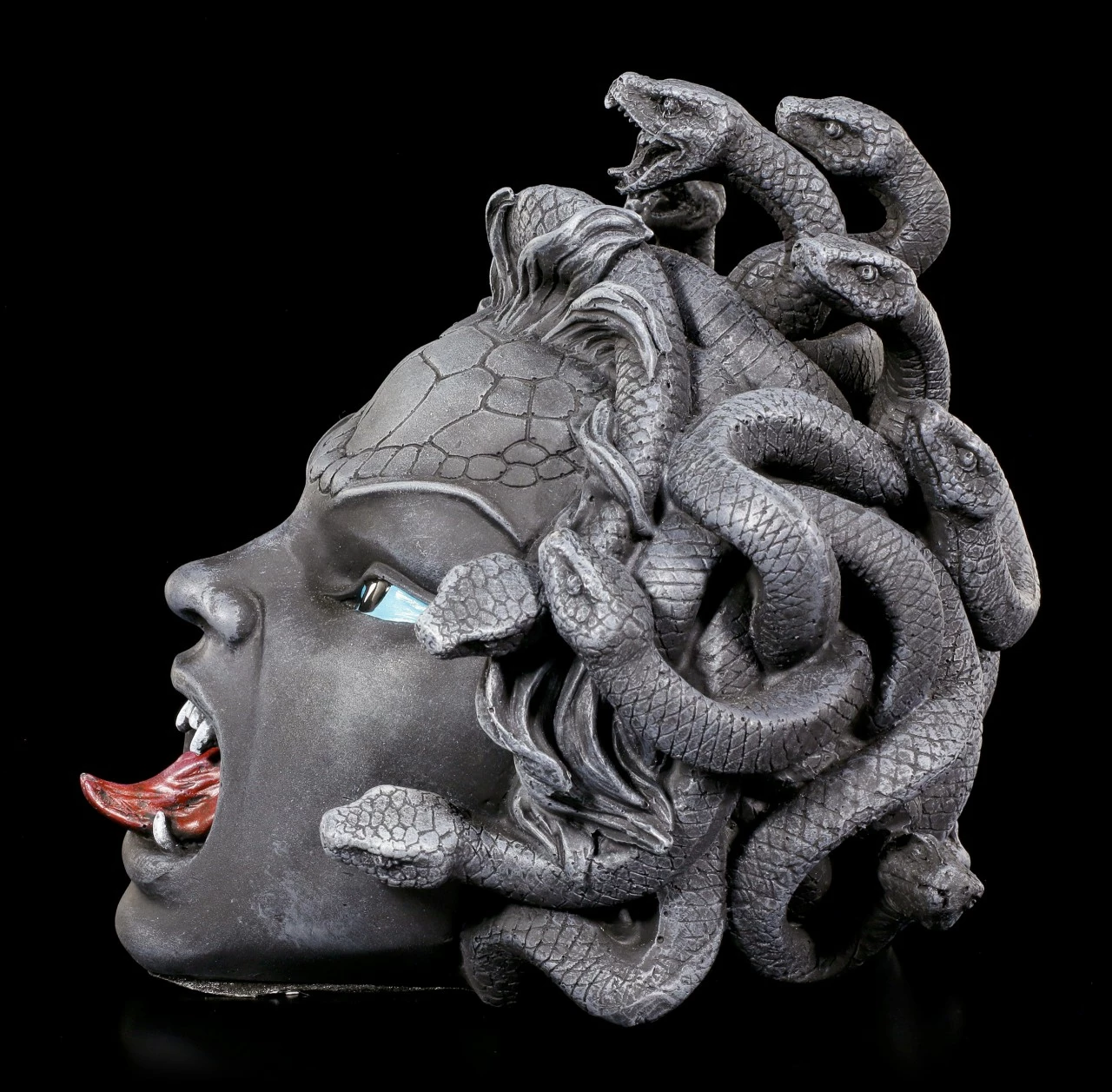 Medusa Schädel 5 Medusa Schädel – Bild 3