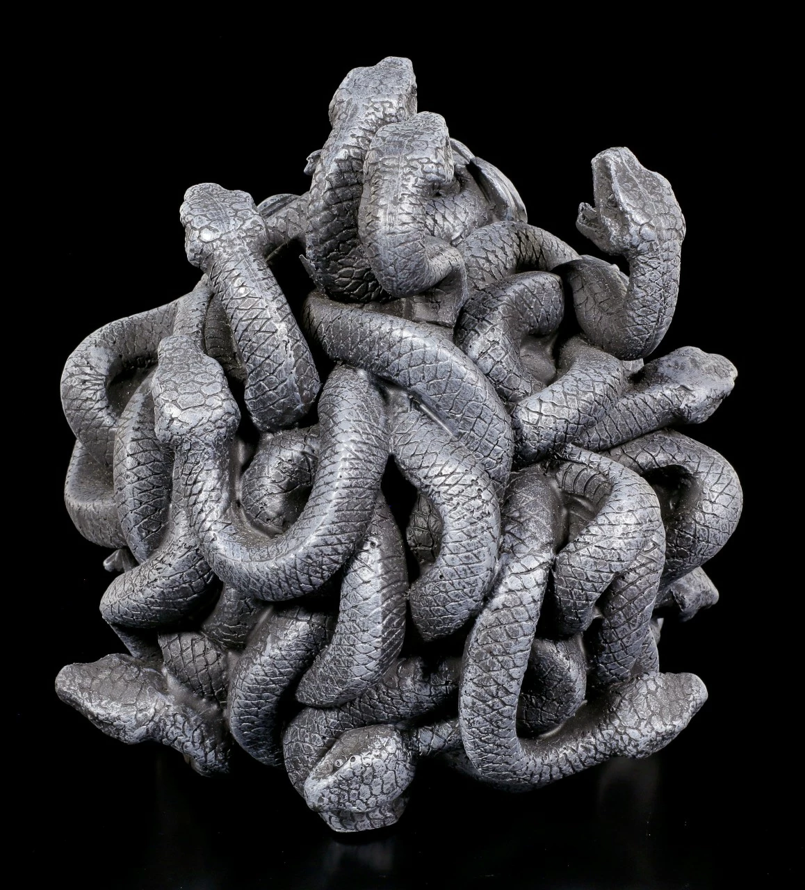 Medusa Schädel 6 Medusa Schädel – Bild 4