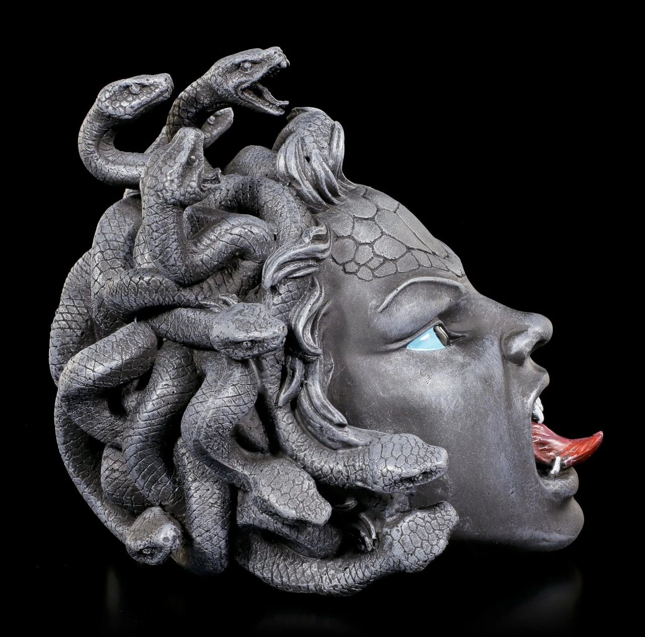 Medusa Schädel 7 Medusa Schädel – Bild 5