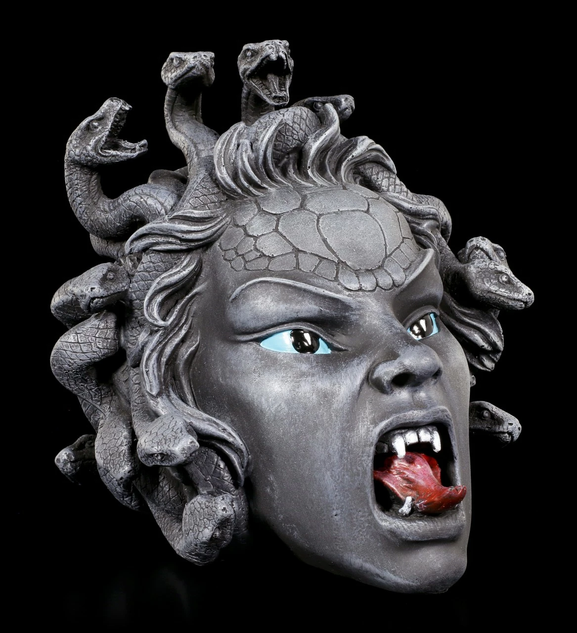 Medusa Schädel 3 Medusa Schädel