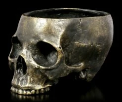 Totenkopf Blumentopf - Antik-Optik -FIGUREN Verkäufe Menschlicher Totenkopf Blumentopf 2 1280x1280