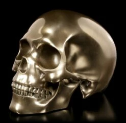 Menschlicher Totenkopf - Bronziert -FIGUREN Verkäufe Menschlicher Totenkopf Bronziert 2 1280x1280