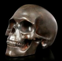 Menschlicher Totenkopf - Rostfarben -FIGUREN Verkäufe Menschlicher Totenkopf Rostfarben 2 1280x1280