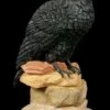 Raben Figur Auf Fels