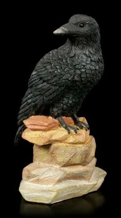 Raben Figur Auf Fels