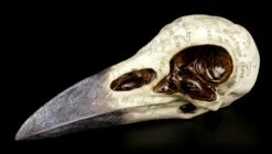 NEMESIS NOW Edgar's Raben Schädel - Nevermore -FIGUREN Verkäufe Raben Schaedel Nevermore 2 1280x1280