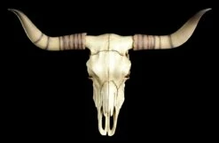 Longhorn Rinderschädel -FIGUREN Verkäufe Rinder Totenkopf Wanddeko 1 1280x1280