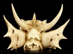 Wandrelief - Schädel Des Letzten Drachen -FIGUREN Verkäufe Schaedel Drachen 357ce52bcaa05a 1280x1280