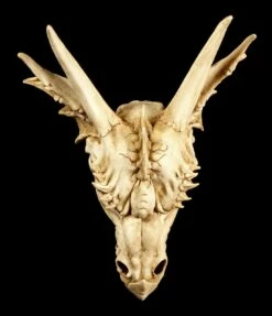 Wandrelief - Schädel Des Letzten Drachen -FIGUREN Verkäufe Schaedel Drachen 557ce52cae476f 1280x1280