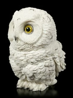 Schnee Eulen Figur - Winters Wisdom 9 Schnee Eulen Figur - Winters Wisdom -FIGUREN Verkäufe Schnee Eulen Figur Winters Wisdom 2 1280x1280