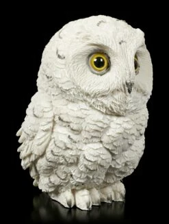 Schnee Eulen Figur - Winters Wisdom