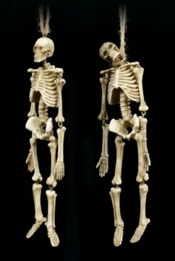 Skelett Figuren Zum Hängen - 2er Set -FIGUREN Verkäufe Skelett Figuren Zum Haengen 2er Set 2 1280x1280